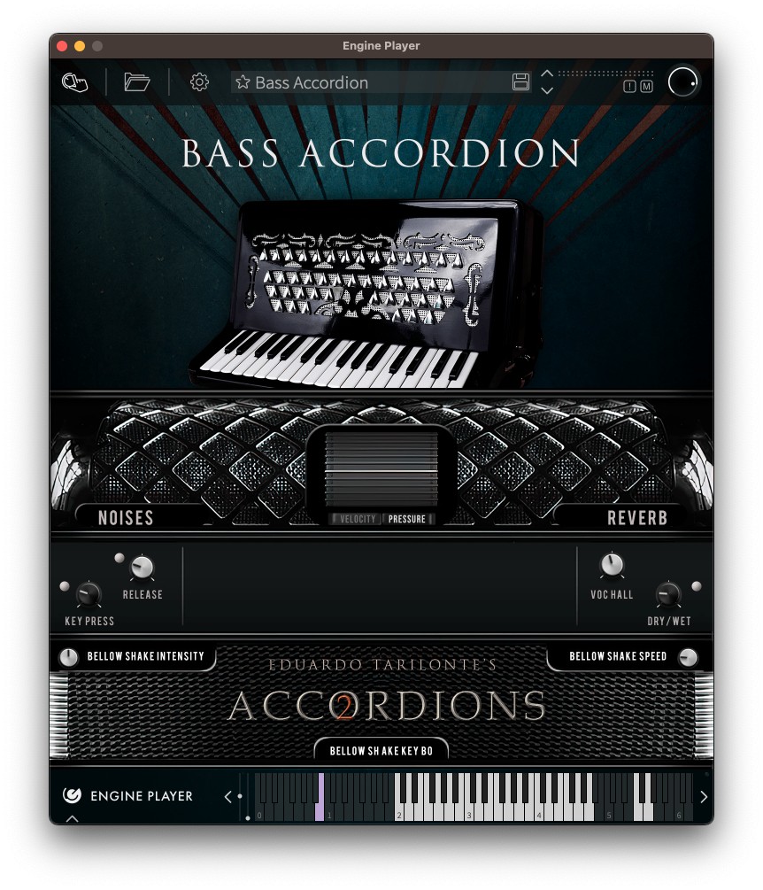 Best service accordions cheap
